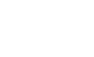 Anton Schneider Söhne Logo AS white (png)